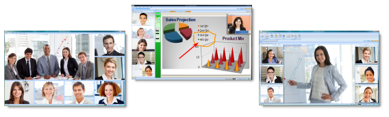 Alternatives to Skype, Nefsis Video Conferencing Screenshot